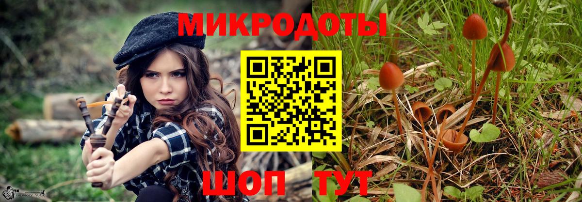 Псилоцибиновые грибы MAGIC MUSHROOMS Янаул