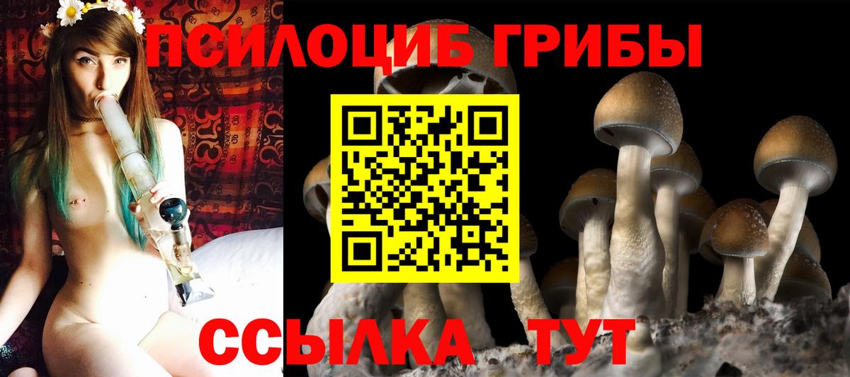 Галлюциногенные грибы Magic Shrooms  Вход с VPN  Янаул  Псилоцибиновые грибы MAGIC MUSHROOMS 